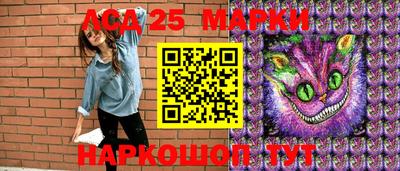 индика Комсомольск-на-Амуре