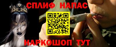 прущие грибы Конаково